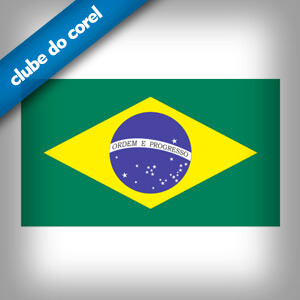 Bandeira do Brasil Vetorizada